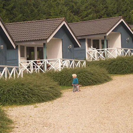 Campsite Riis